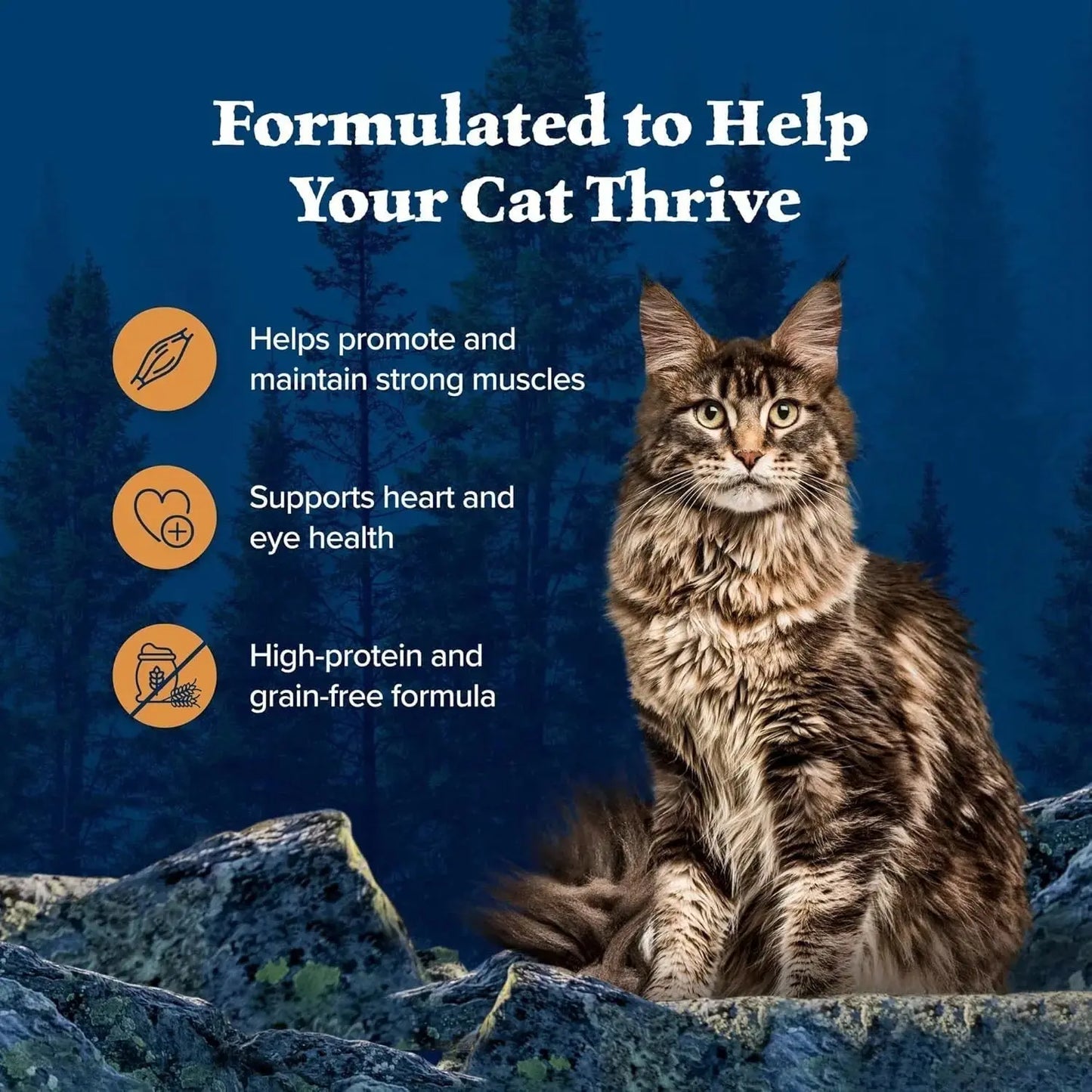 Blue Buffalo Wilderness Wild Delights Minced Natural Wet Cat Food, Chicken & Turkey in Tasty